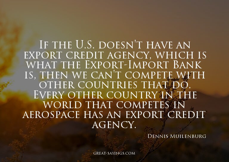 If the U.S. doesn't have an export credit agency, which