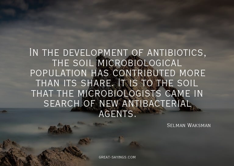 In the development of antibiotics, the soil microbiolog