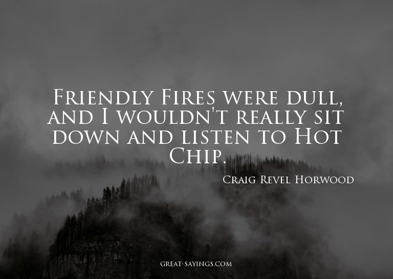 Friendly Fires were dull, and I wouldn't really sit dow
