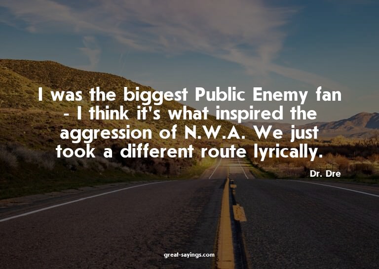 I was the biggest Public Enemy fan - I think it's what