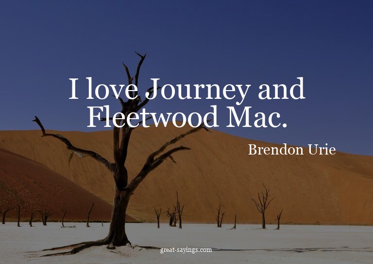 I love Journey and Fleetwood Mac.

