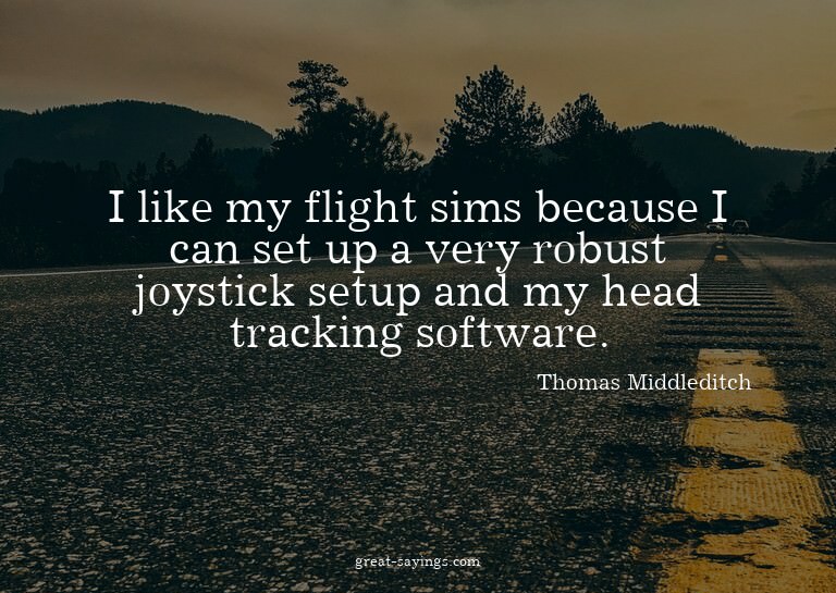 I like my flight sims because I can set up a very robus