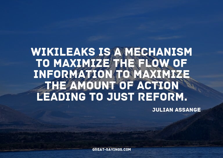 Wikileaks is a mechanism to maximize the flow of inform