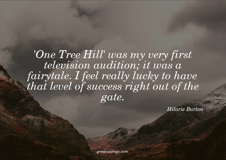 'One Tree Hill' was my very first television audition;
