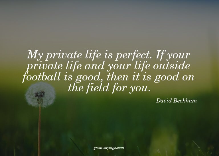 My private life is perfect. If your private life and yo