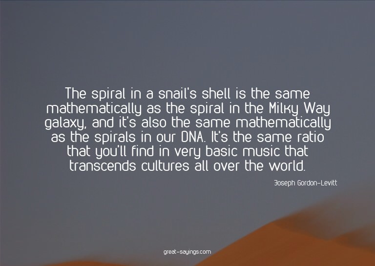 The spiral in a snail's shell is the same mathematicall