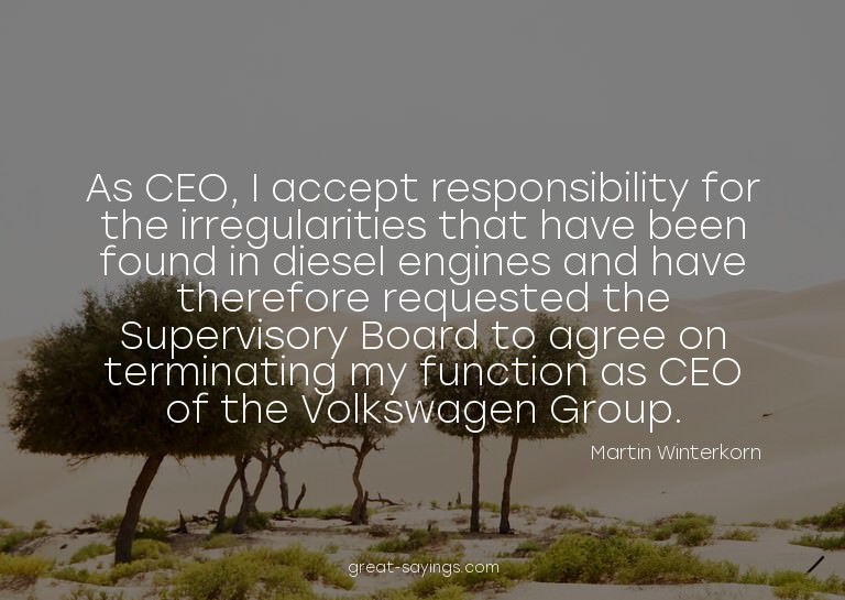 As CEO, I accept responsibility for the irregularities