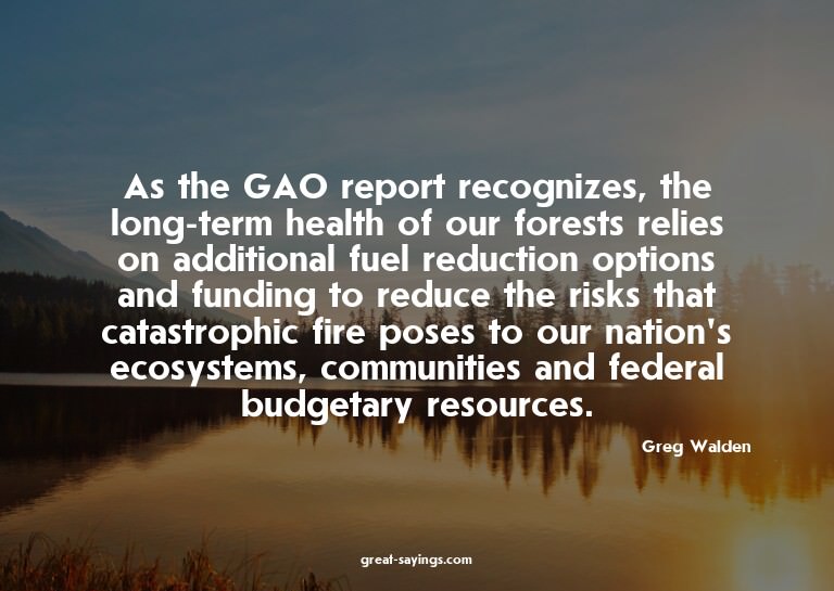 As the GAO report recognizes, the long-term health of o