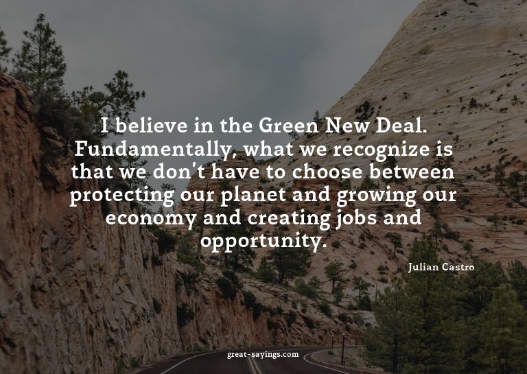 I believe in the Green New Deal. Fundamentally, what we