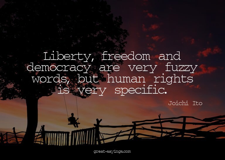 Liberty, freedom and democracy are very fuzzy words, bu
