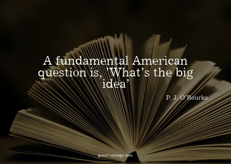 A fundamental American question is, 'What's the big ide