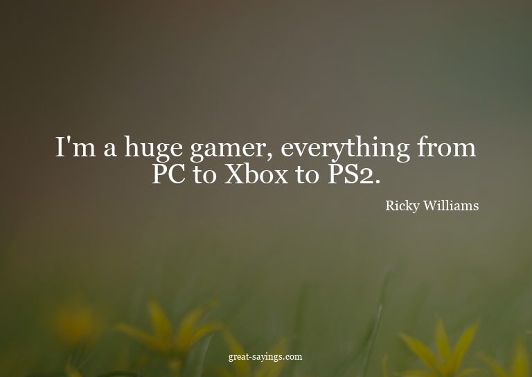 I'm a huge gamer, everything from PC to Xbox to PS2.

