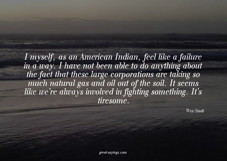 I myself, as an American Indian, feel like a failure in