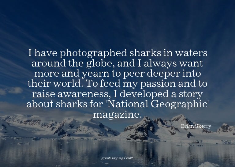 I have photographed sharks in waters around the globe,