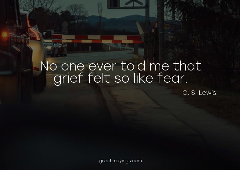 No one ever told me that grief felt so like fear.

