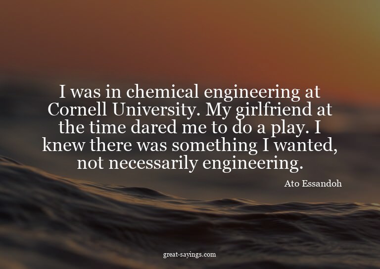I was in chemical engineering at Cornell University. My