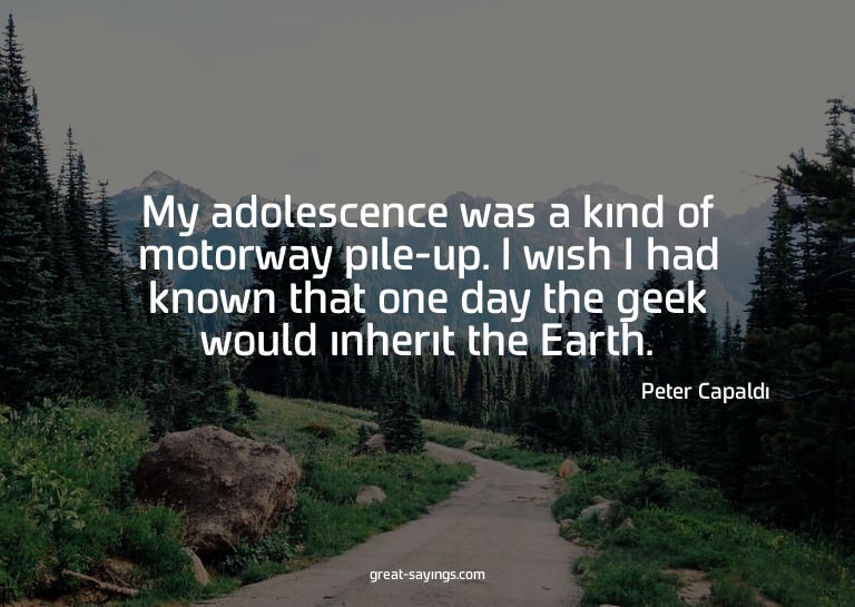 My adolescence was a kind of motorway pile-up. I wish I