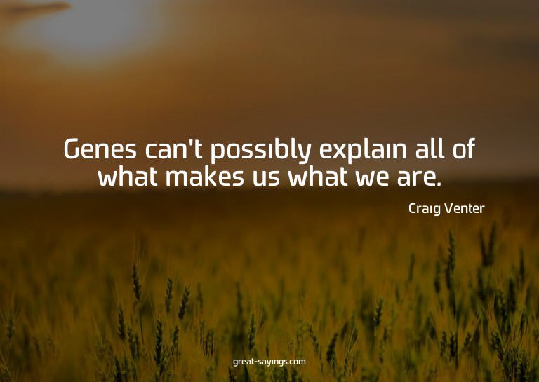 Genes can't possibly explain all of what makes us what