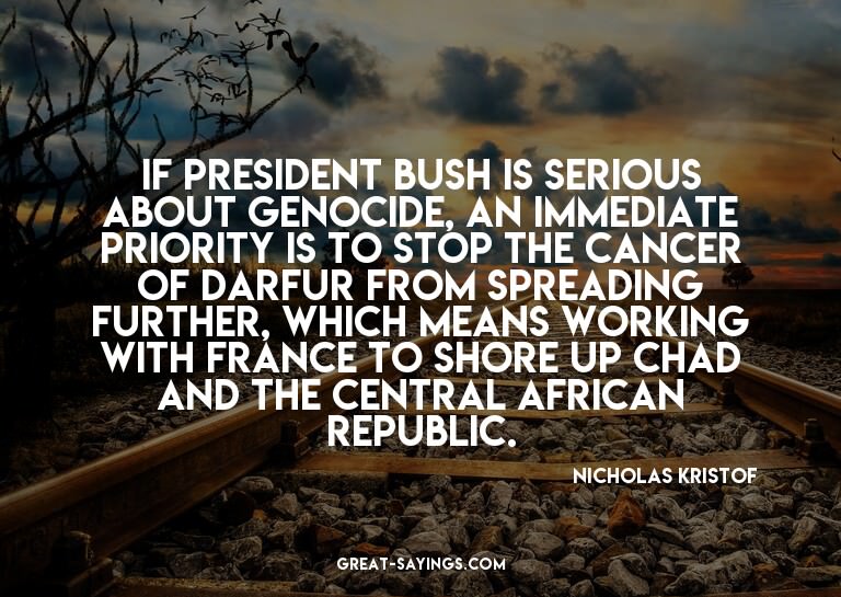 If President Bush is serious about genocide, an immedia