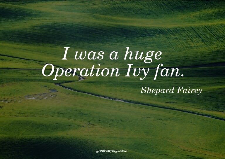 I was a huge Operation Ivy fan.

