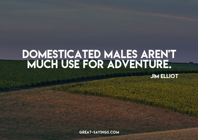 Domesticated males aren't much use for adventure.

