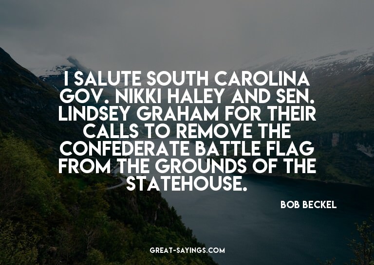 I salute South Carolina Gov. Nikki Haley and Sen. Linds