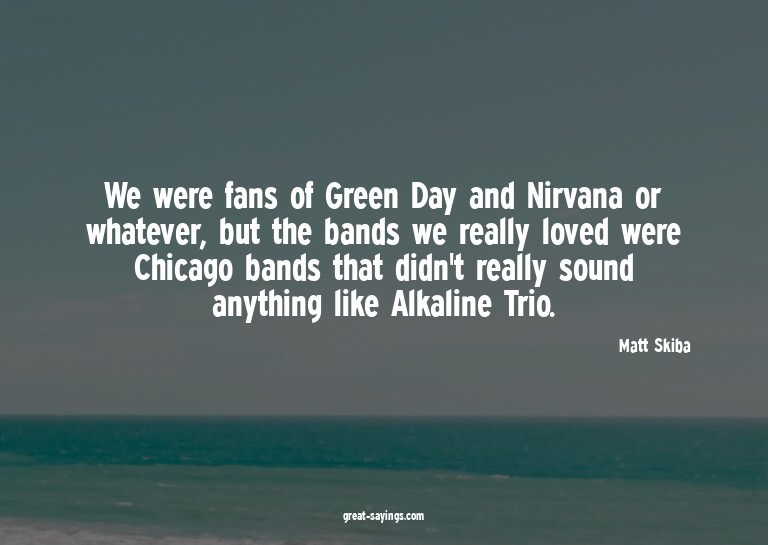 We were fans of Green Day and Nirvana or whatever, but