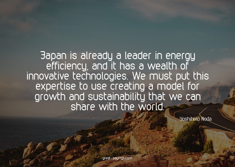 Japan is already a leader in energy efficiency, and it