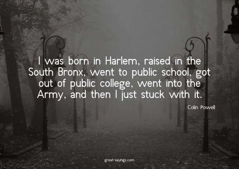I was born in Harlem, raised in the South Bronx, went t