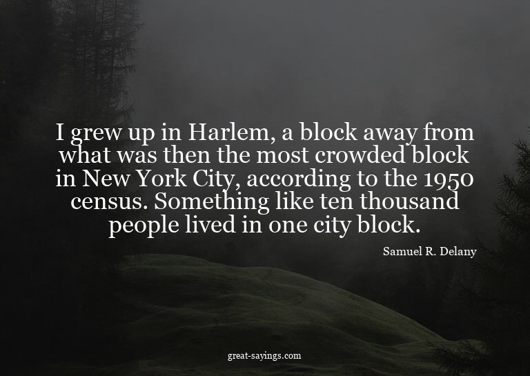 I grew up in Harlem, a block away from what was then th
