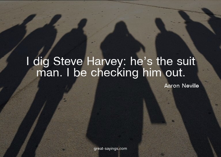 I dig Steve Harvey: he's the suit man. I be checking hi