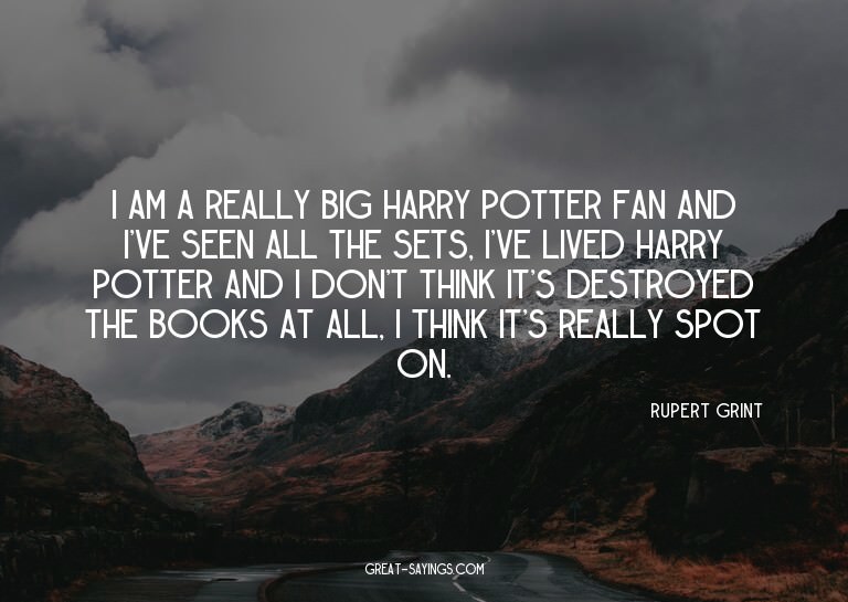 I am a really big Harry Potter fan and I've seen all th