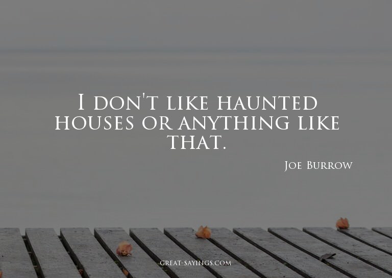 I don't like haunted houses or anything like that.


