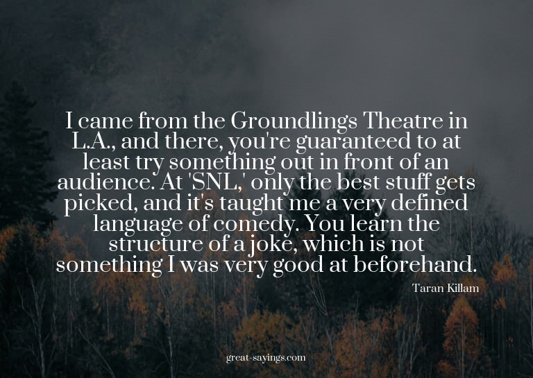 I came from the Groundlings Theatre in L.A., and there,