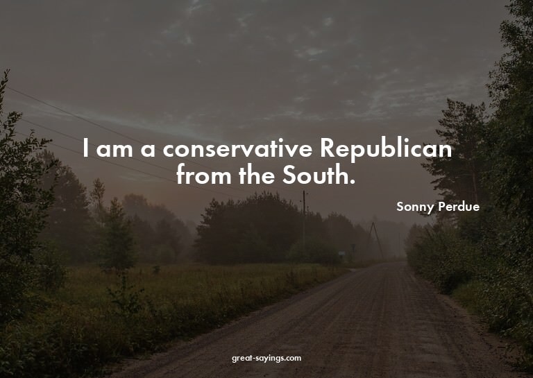I am a conservative Republican from the South.

