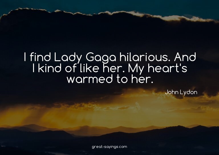 I find Lady Gaga hilarious. And I kind of like her. My