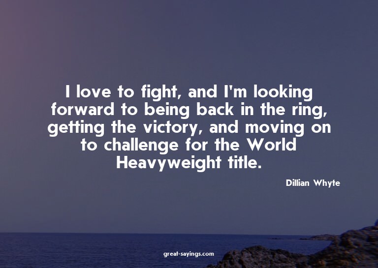 I love to fight, and I'm looking forward to being back