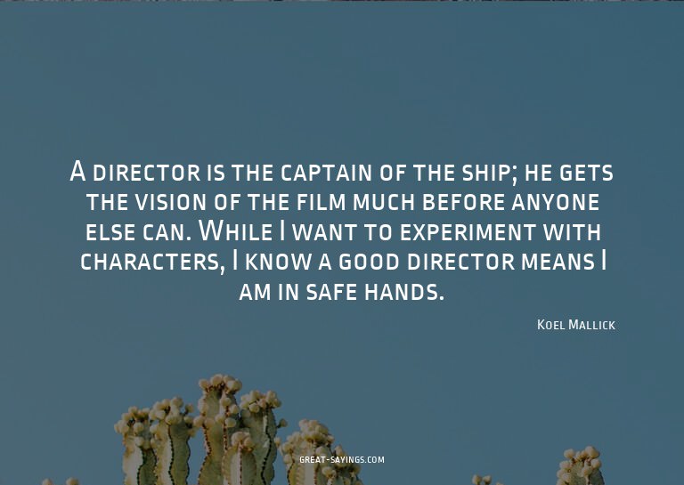 A director is the captain of the ship; he gets the visi