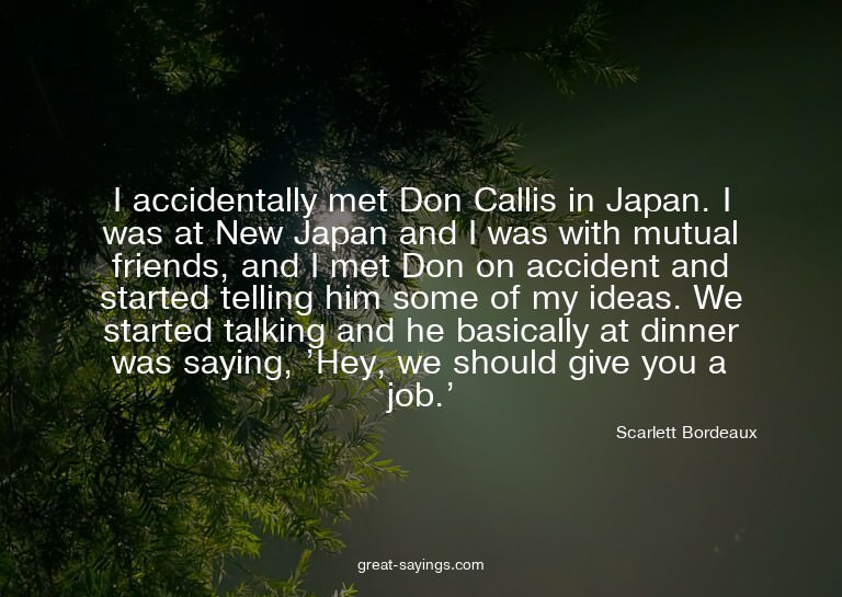 I accidentally met Don Callis in Japan. I was at New Ja