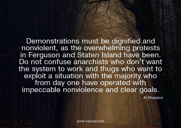 Demonstrations must be dignified and nonviolent, as the