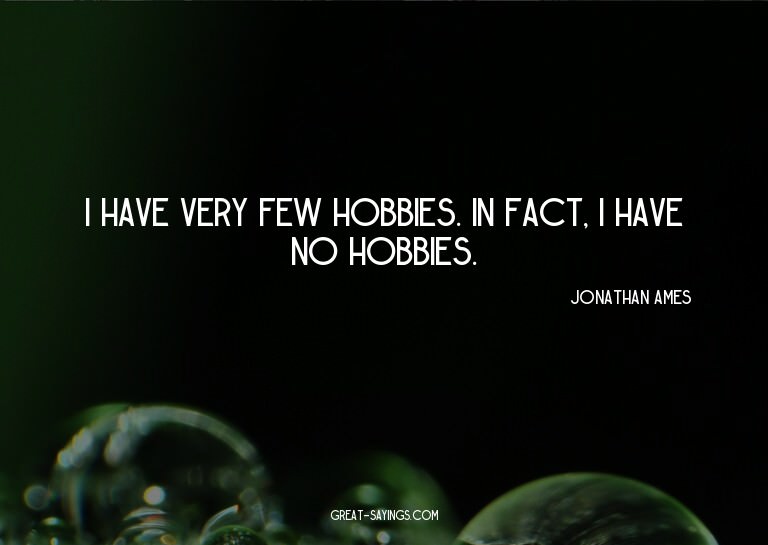 I have very few hobbies. In fact, I have no hobbies.

