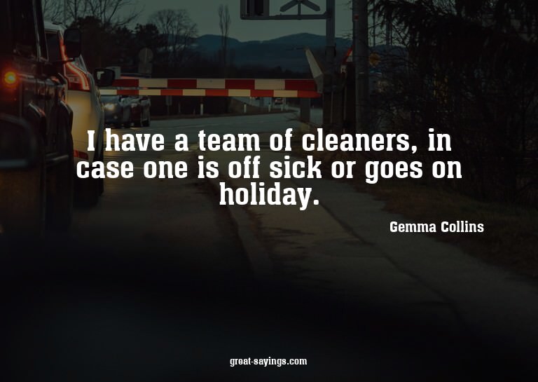 I have a team of cleaners, in case one is off sick or g