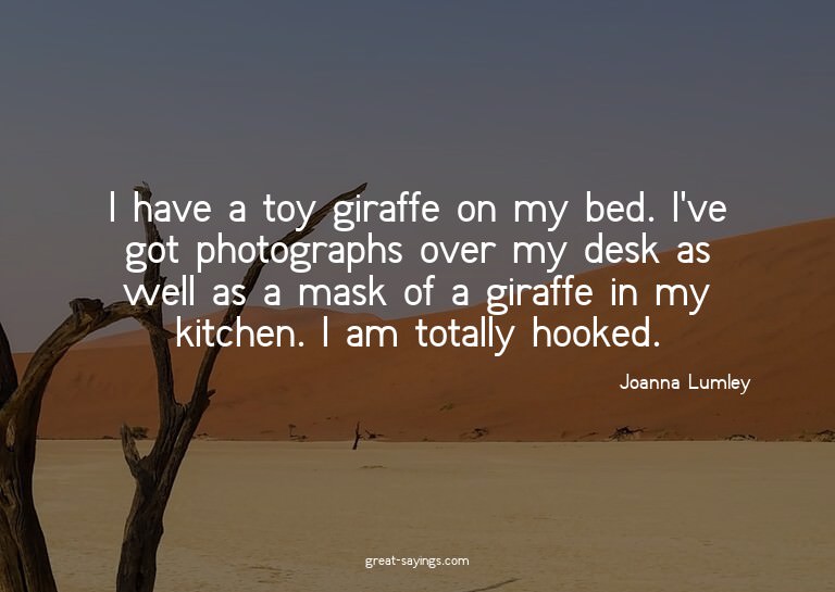 I have a toy giraffe on my bed. I've got photographs ov