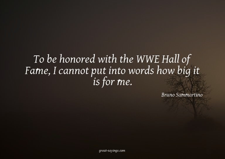 To be honored with the WWE Hall of Fame, I cannot put i