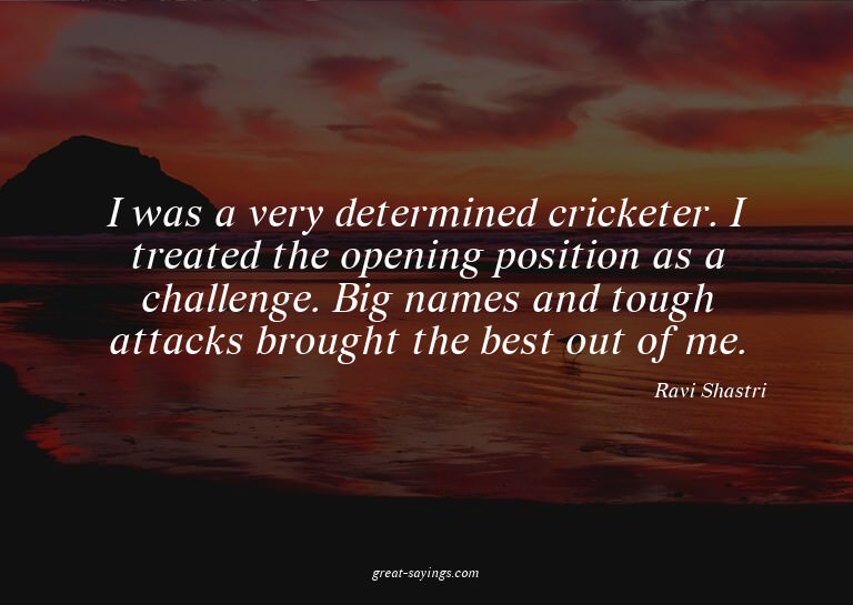 I was a very determined cricketer. I treated the openin