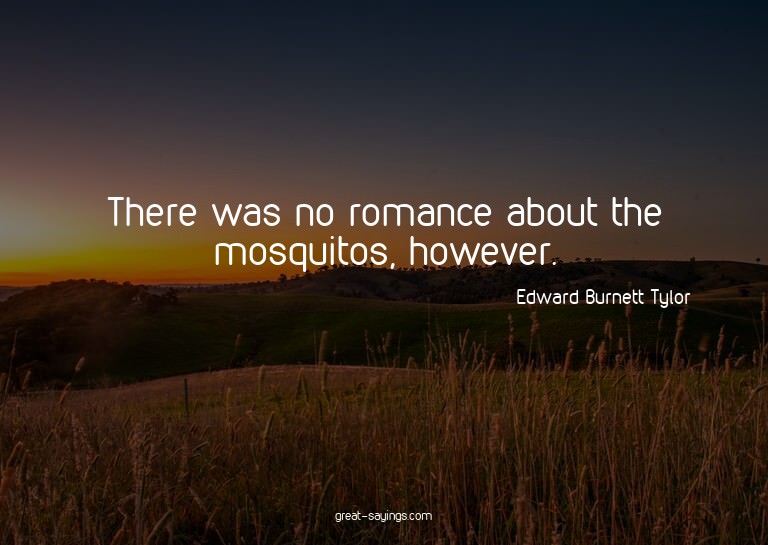 There was no romance about the mosquitos, however.

