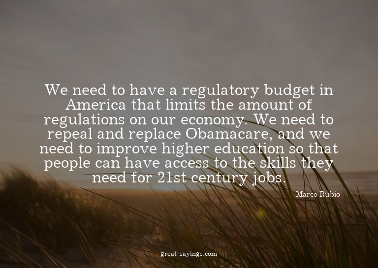 We need to have a regulatory budget in America that lim