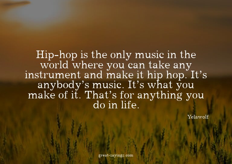 Hip-hop is the only music in the world where you can ta