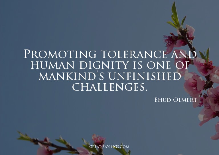Promoting tolerance and human dignity is one of mankind