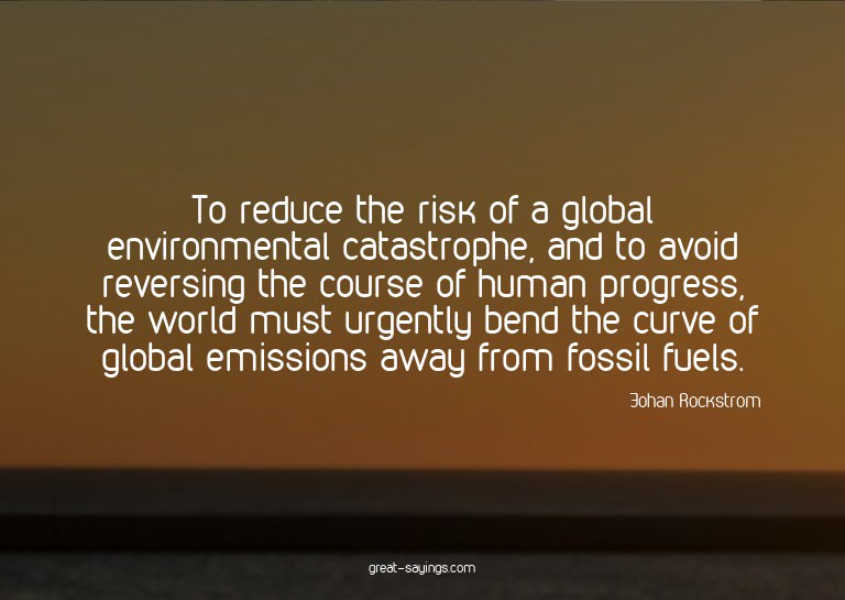 To reduce the risk of a global environmental catastroph